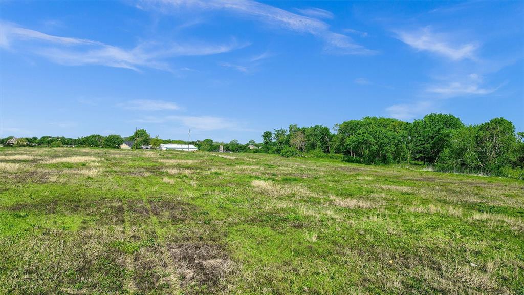 2554 Bennett Road Howe, TX 75459 - Photo 15 of 16 a view of a big yard with plants and large trees