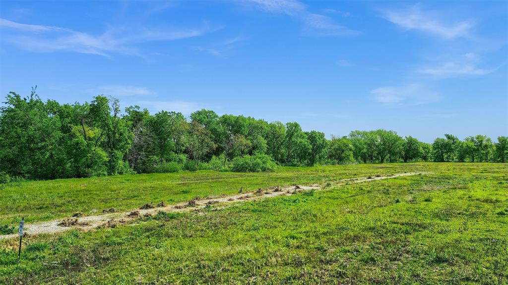 2554 Bennett Road Howe, TX 75459 - Photo 16 of 16 a view of a grassy field with trees