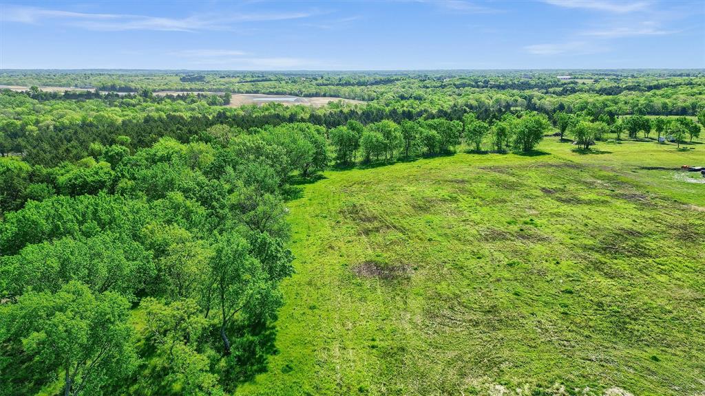 2554 Bennett Road Howe, TX 75459 - Photo 6 of 16 a view of a yard with an outdoor space