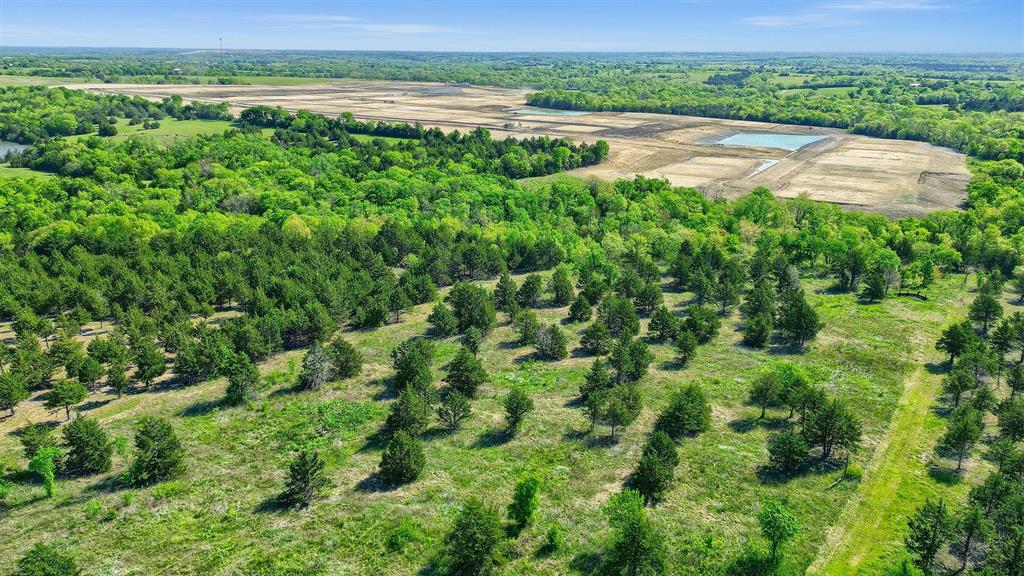 2554 Bennett Road Howe, TX 75459 - Photo 8 of 16 a view of a lush green space with lots of trees