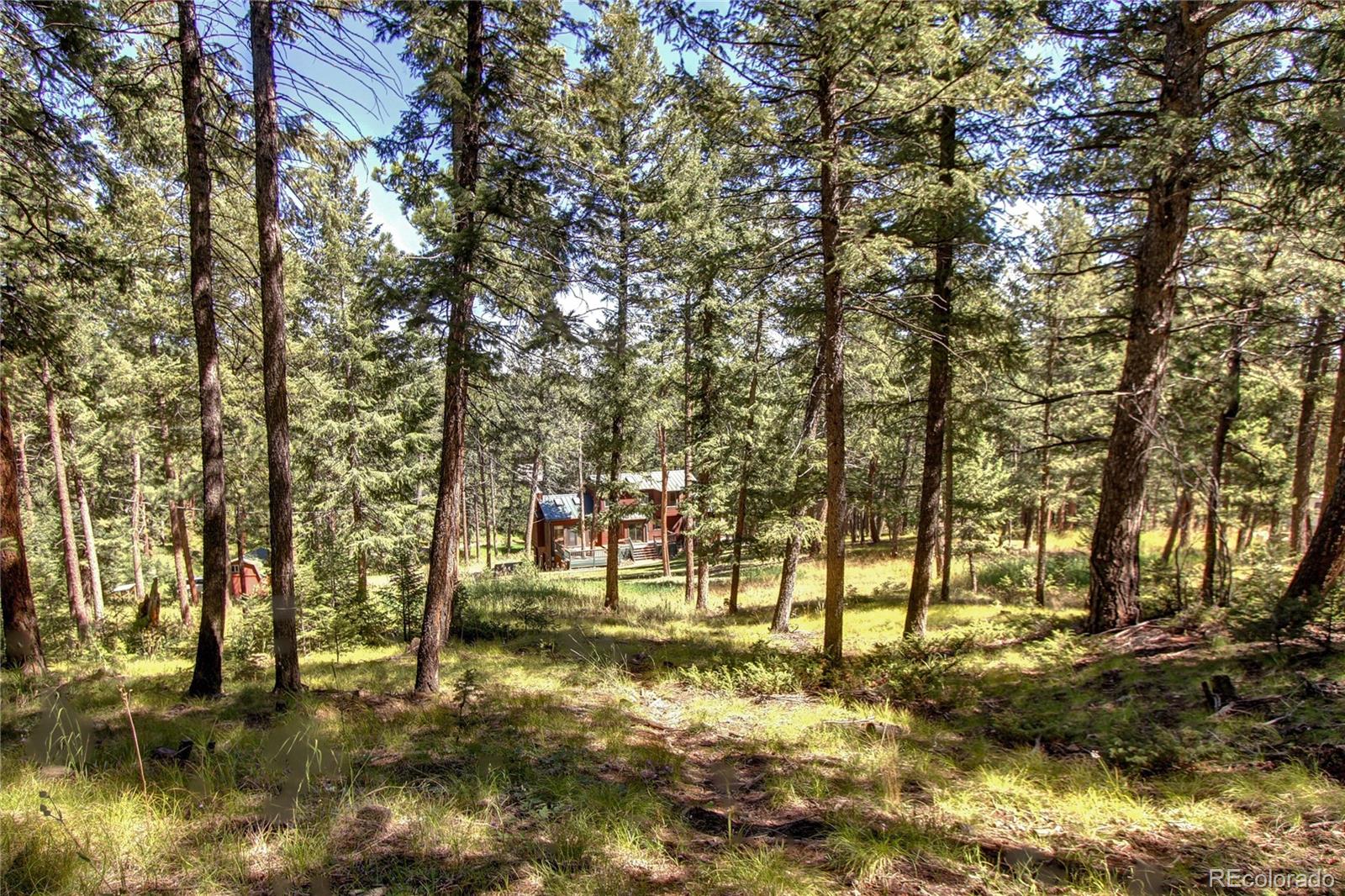8095 South Wagon Wheel Road Morrison, CO 80465 - Photo 45 of 48