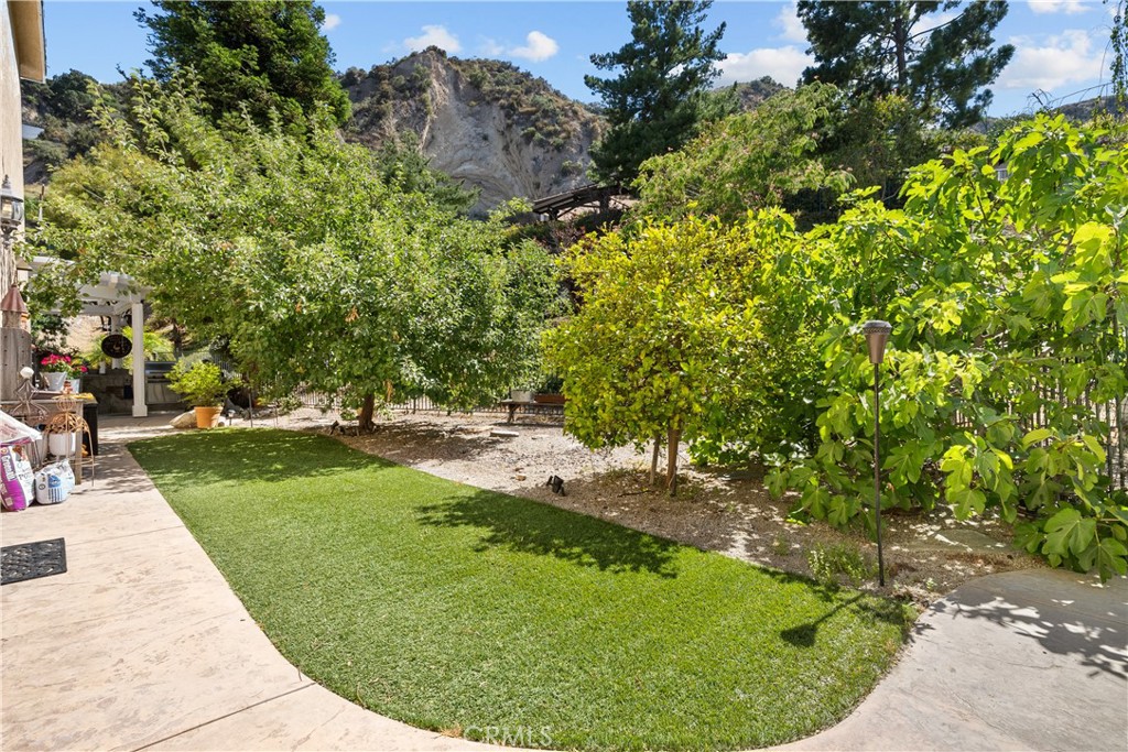 26214 Reade Place Stevenson Ranch, CA 91381 - Photo 30 of 58 a view of a backyard