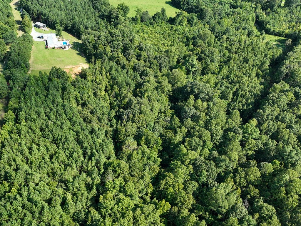 3152 Beulah Road Nathalie, VA 24577 - Photo 67 of 75 Aerial right side view