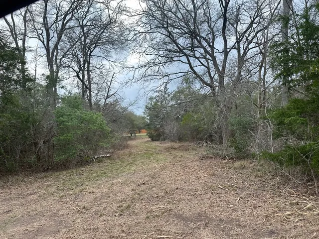 a view of a yard with a tree