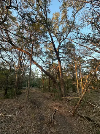 $127,000 | 303 South Farm To Market 609, Muldoon, TX 78949