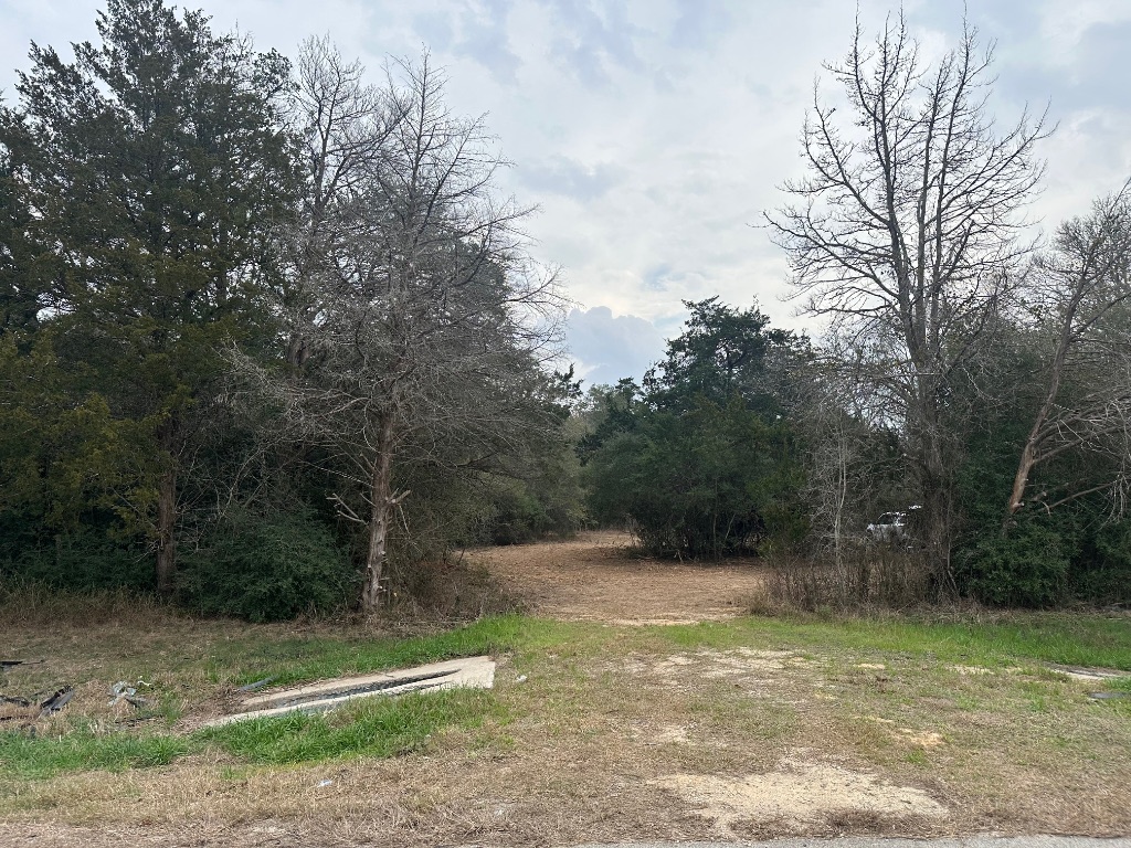 303 South Farm To Market 609 Muldoon, TX 78949 - Photo 18 of 18 a view of a field