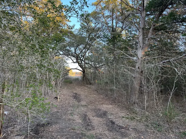 $127,000 | 303 South Farm To Market 609, Muldoon, TX 78949