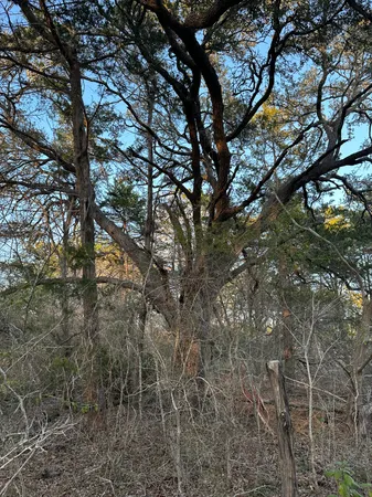$127,000 | 303 South Farm To Market 609, Muldoon, TX 78949