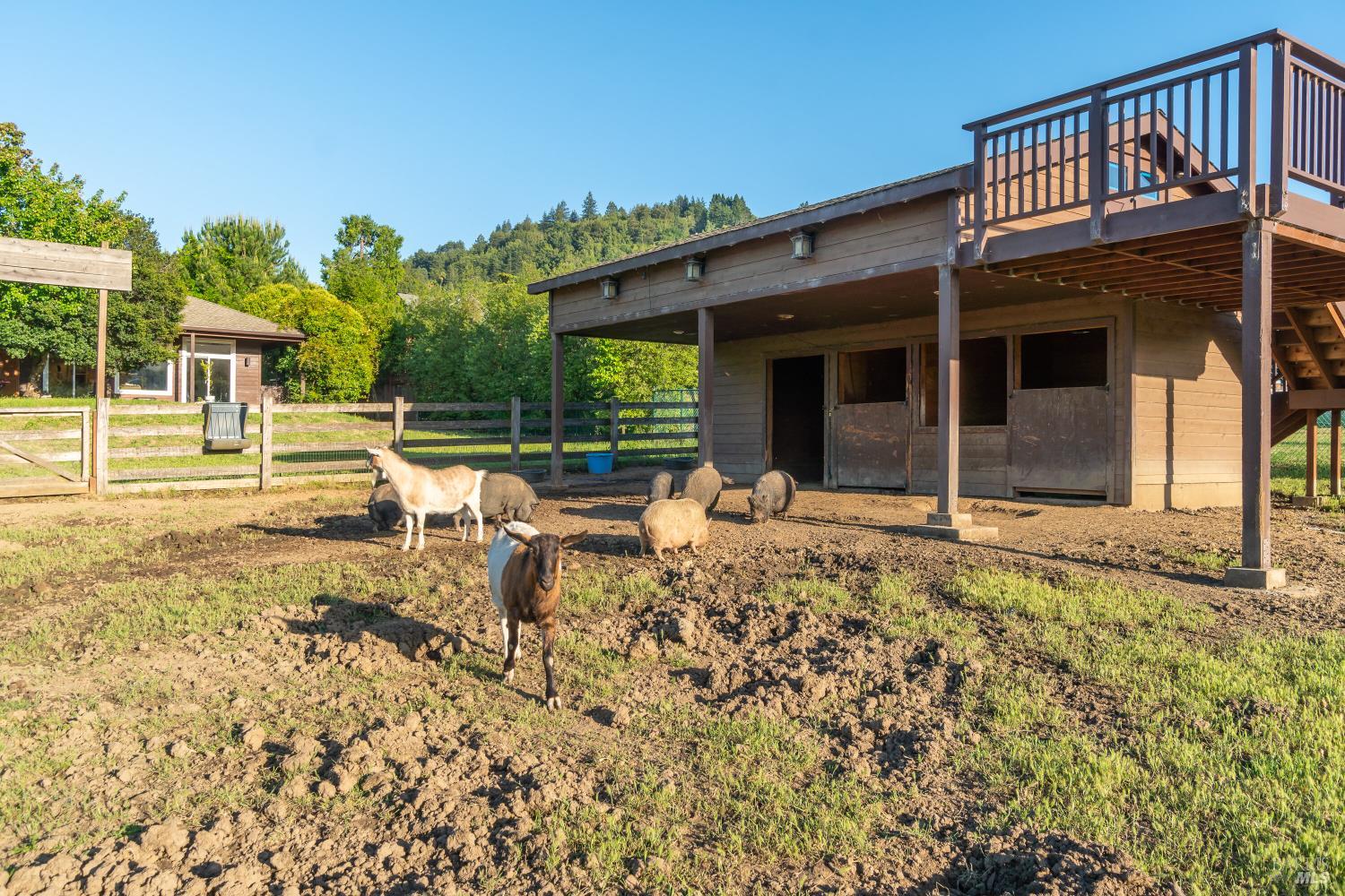 8 Circle Road San Rafael, CA 94903 - Photo 49 of 51 front view of a house with a yard