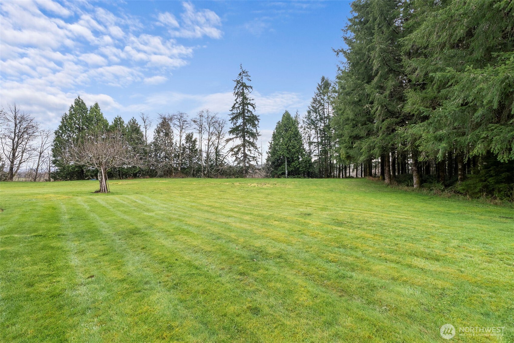 570 Wynoochee Valley Road Montesano, WA 98563 - Photo 22 of 28 a view of a field with trees in the background