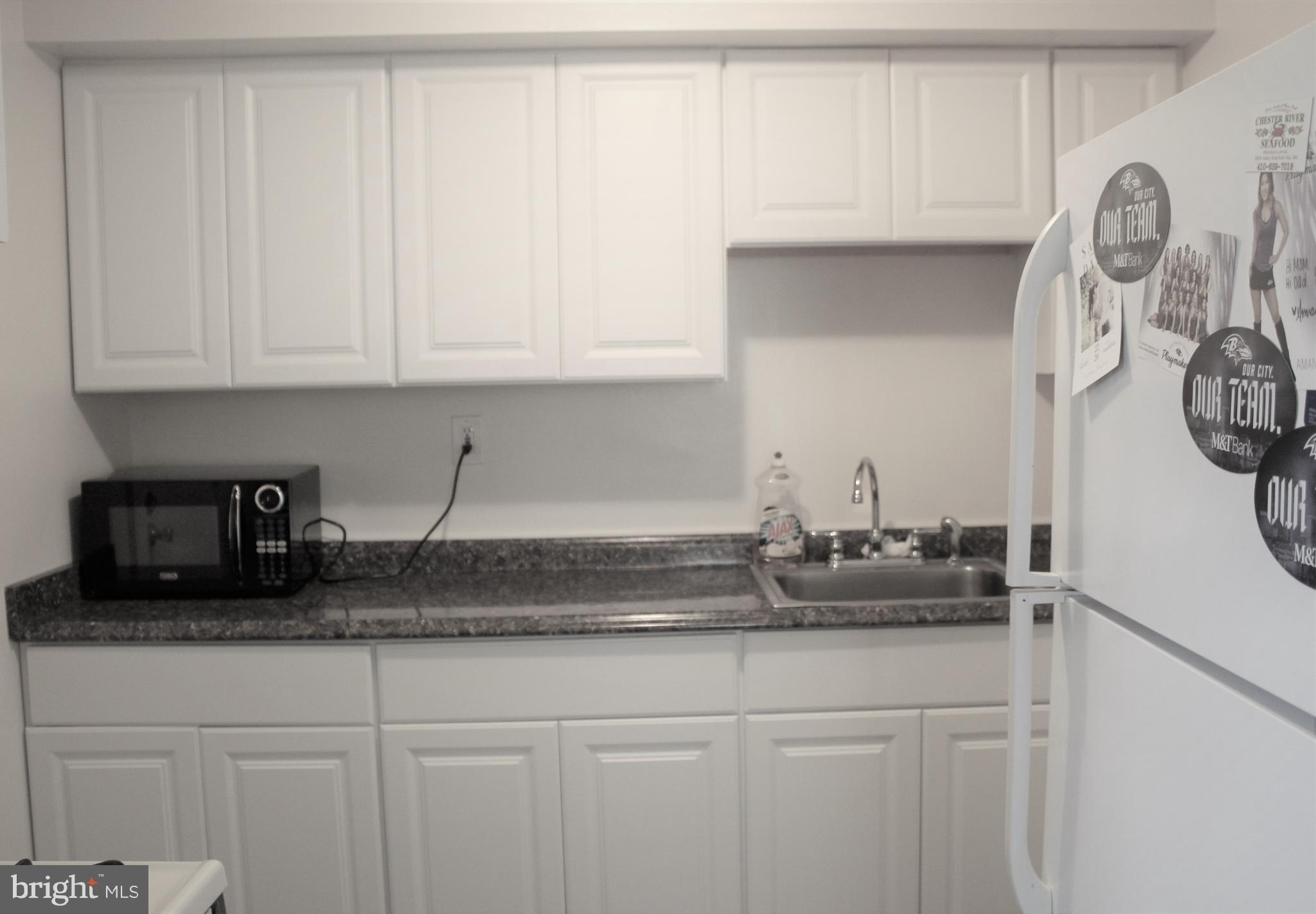 16 Village Road Pikesville, MD 21208 - Photo 4 of 21 Gallery Image 4