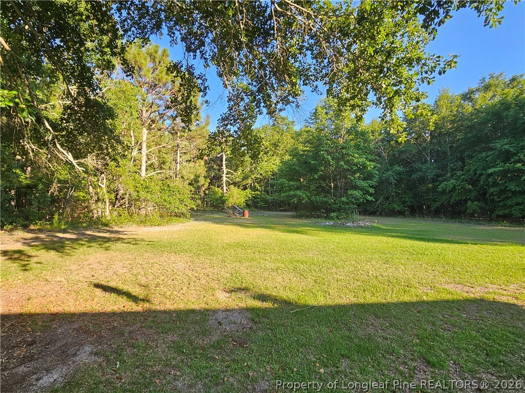 18420 Quicktown Road Hamlet, NC 28345 - Photo 34 of 40