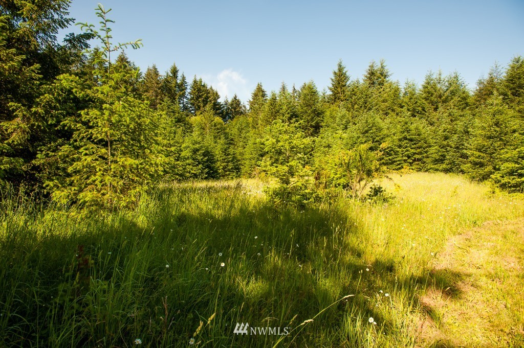 122 Hagstrom Road Winlock, WA 98596 - Photo 15 of 25
