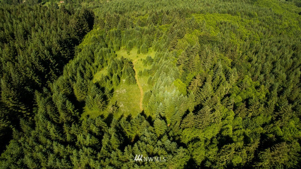122 Hagstrom Road Winlock, WA 98596 - Photo 18 of 25