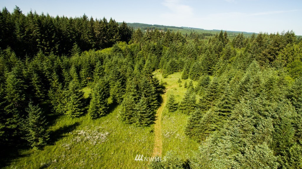 122 Hagstrom Road Winlock, WA 98596 - Photo 20 of 25