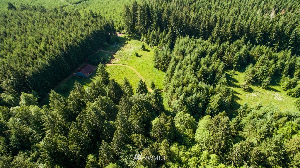 122 Hagstrom Road Winlock, WA 98596 - Photo 22 of 25