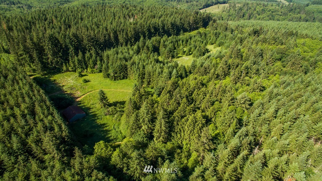 122 Hagstrom Road Winlock, WA 98596 - Photo 23 of 25