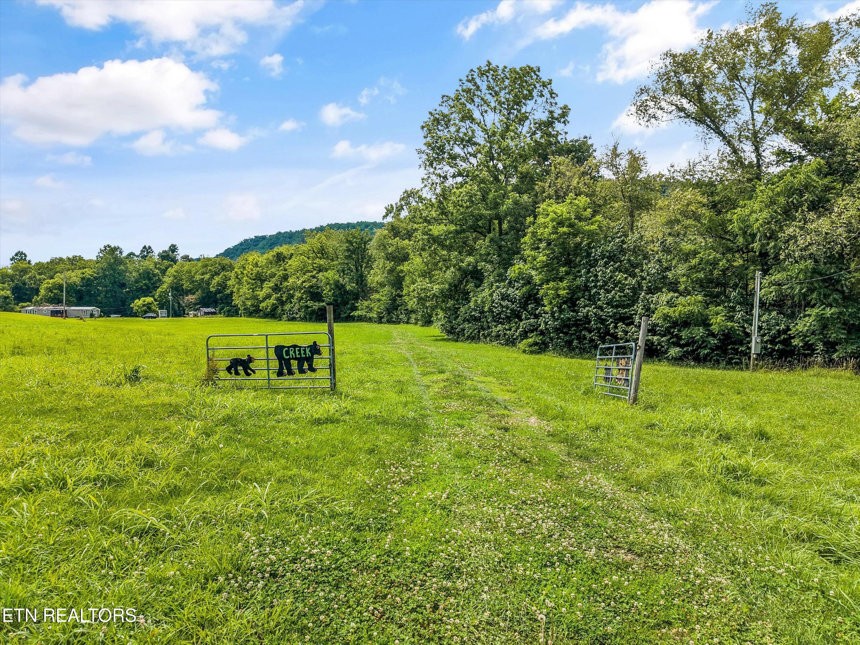 4845 Pearl Valley Road Sevierville, TN 37876 - Photo 7 of 40 29-4845 Pearl Valley Rd 15