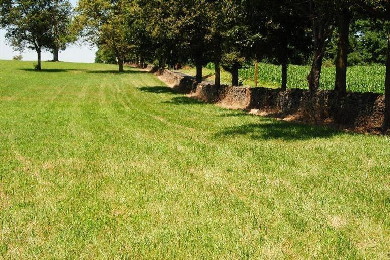 1045 Cane Run Road Georgetown, KY 40324 - Photo 27 of 27 Photo 27