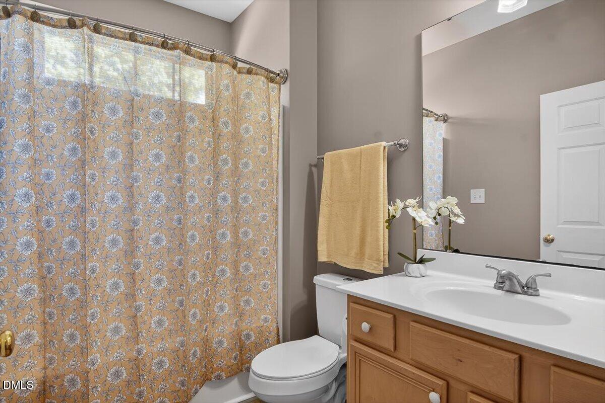 185 Joe Baldwin Road Leasburg, NC 27291 - Photo 22 of 95 a bathroom with a sink a toilet and shower