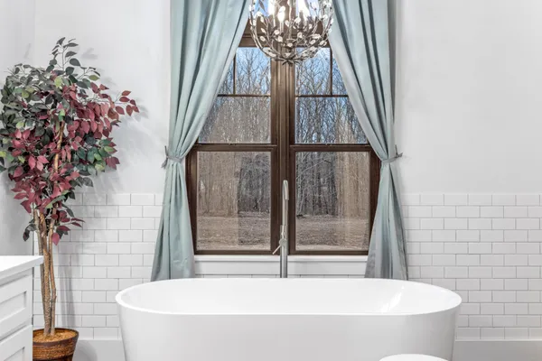 a living room with a couch and a potted plant