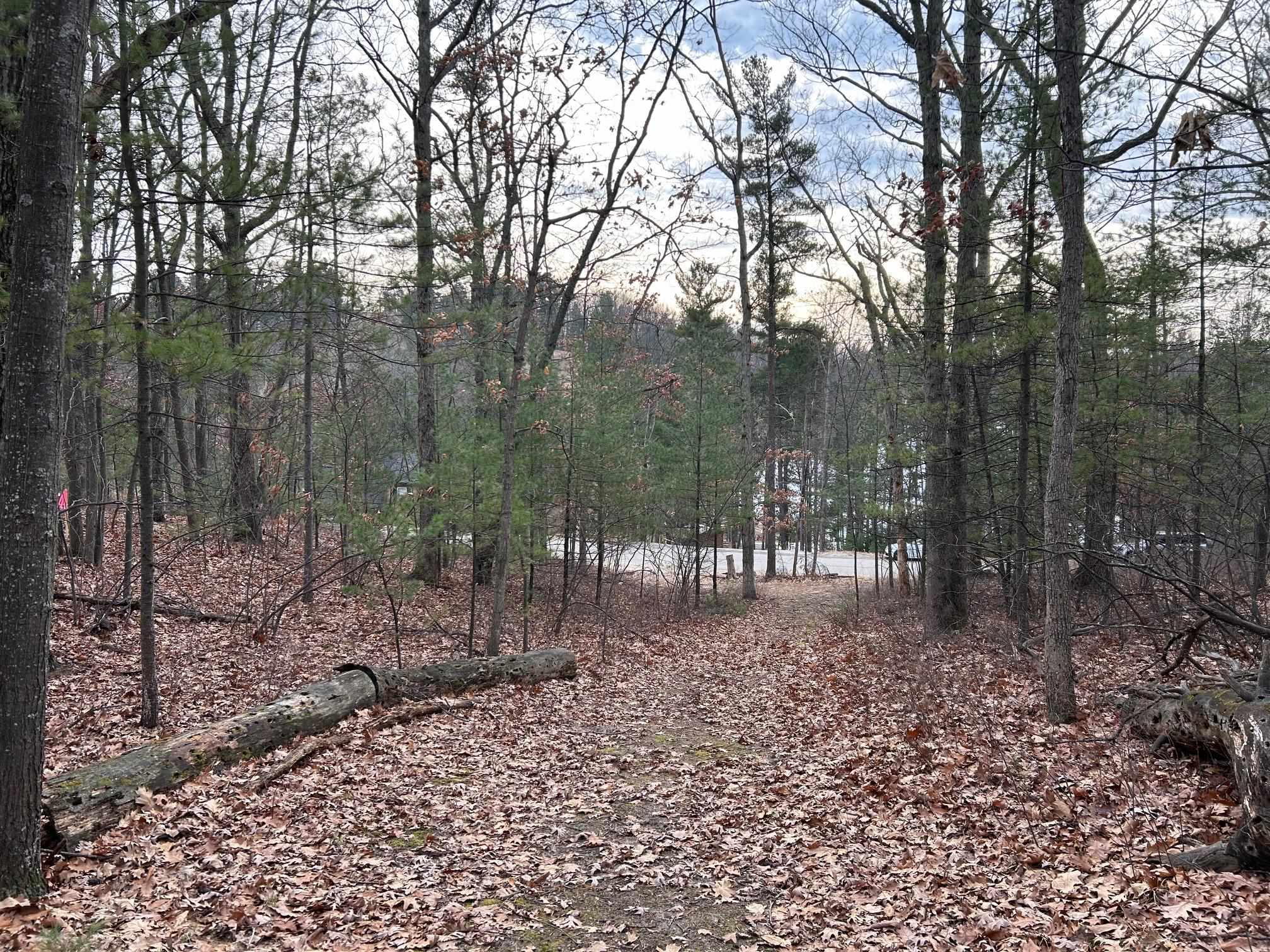 2971 Ridge Run Road Traverse City, MI 49686 - Photo 5 of 13