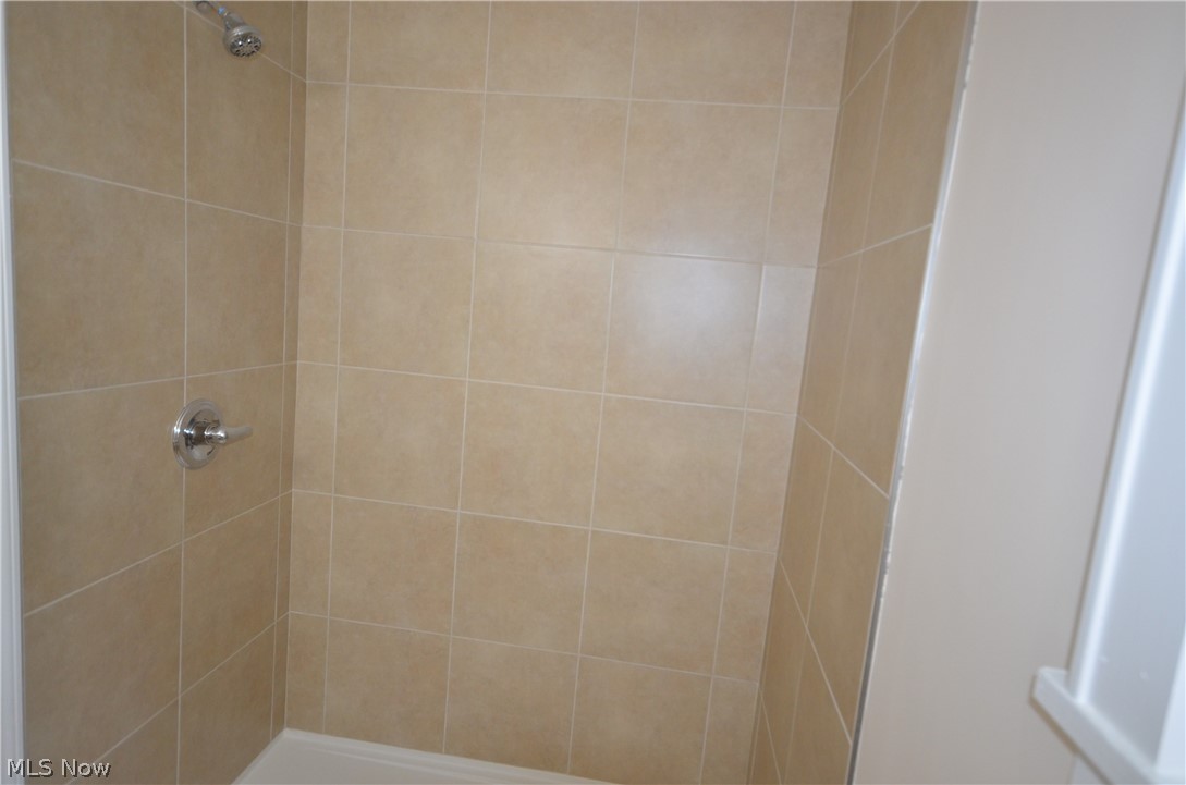 989 Industry Road Atwater, OH 44201 - Photo 27 of 45 large tiled shower