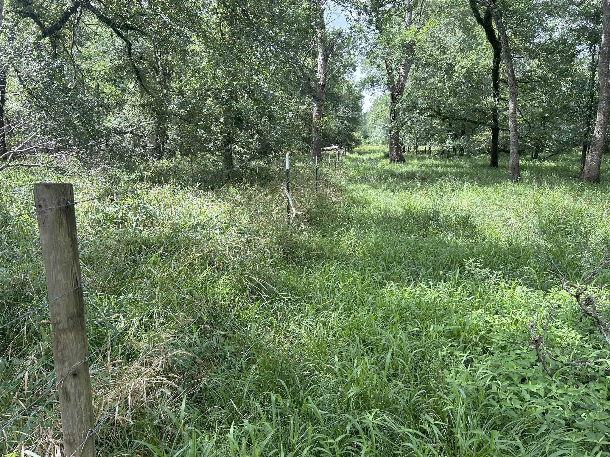 Tbd Holik Road Hempstead, TX 77445 - Photo 43 of 50