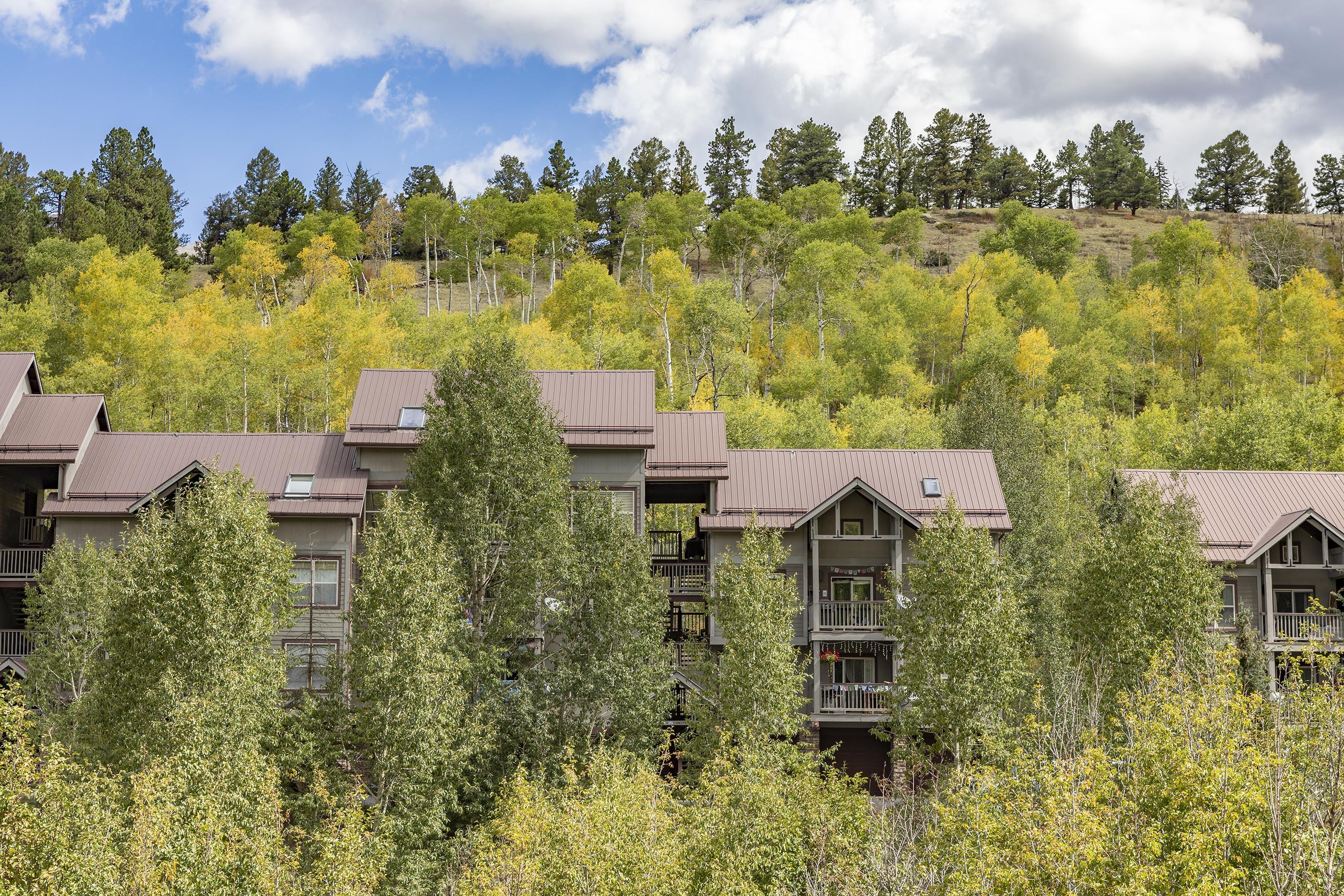 327 Adams Ranch Road, Unit 602 Mountain Village, CO 81435 - Photo 14 of 15 Ext