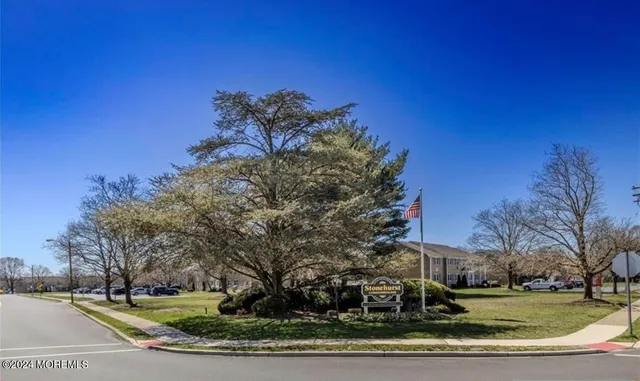 a view of a yard with large trees