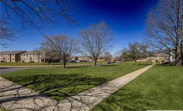 a view of a park with large trees