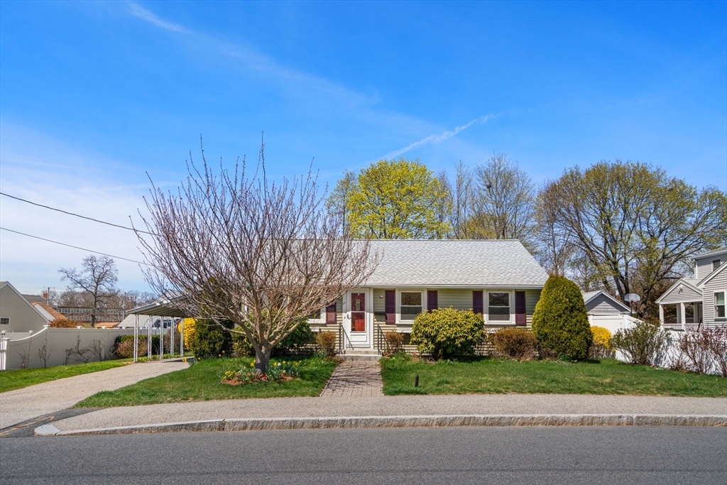 99 Proctor Road Braintree, MA 02184 - Photo 1 of 32 front view of a house with a yard