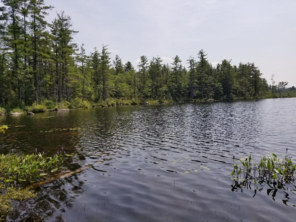 113 North Pond Road Chesterville, ME 04938 - Photo 12 of 35 20180806_133352_resized