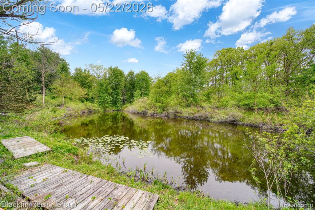 7001 Sweezy Lake Road Brooklyn, MI 49230 - Photo 50 of 63