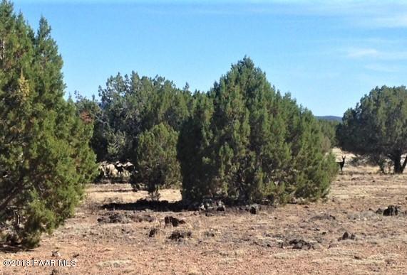 11275 West Rawhide Ranch Road Ash Fork, AZ 86320 - Photo 1 of 22 IMG_5136