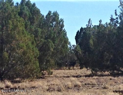 11275 West Rawhide Ranch Road Ash Fork, AZ 86320 - Photo 11 of 22 Deer