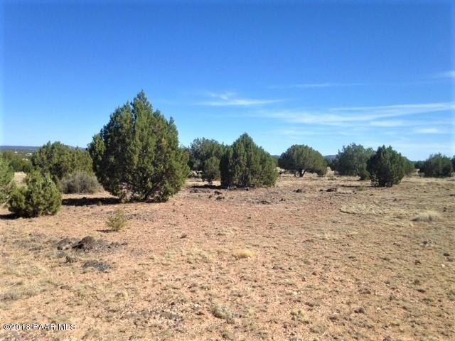 11275 West Rawhide Ranch Road Ash Fork, AZ 86320 - Photo 13 of 22 IMG_5135