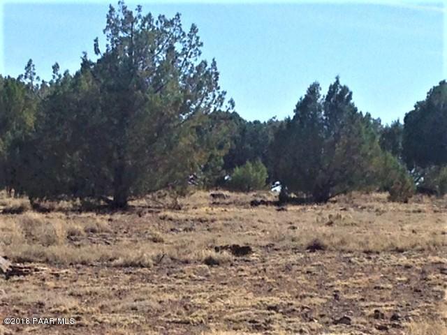 11275 West Rawhide Ranch Road Ash Fork, AZ 86320 - Photo 8 of 22 IMG_5130