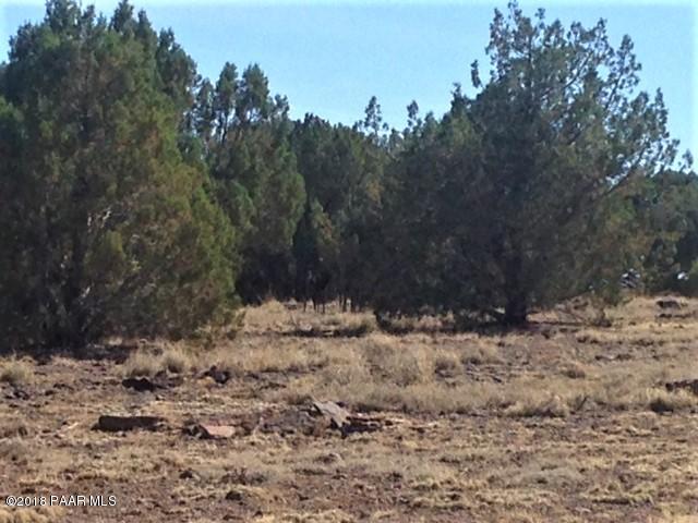 11275 West Rawhide Ranch Road Ash Fork, AZ 86320 - Photo 9 of 22 IMG_5131