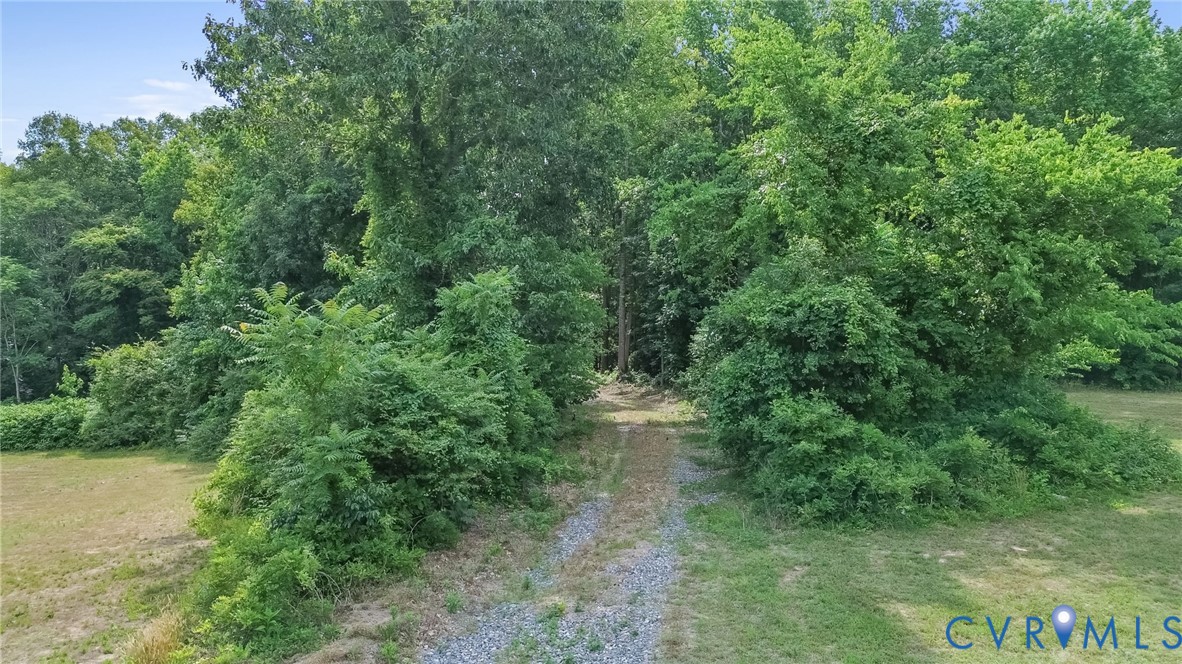 0 Walkerton Road Walkerton, VA 23177 - Photo 3 of 6 a view of a forest with a lake and trees