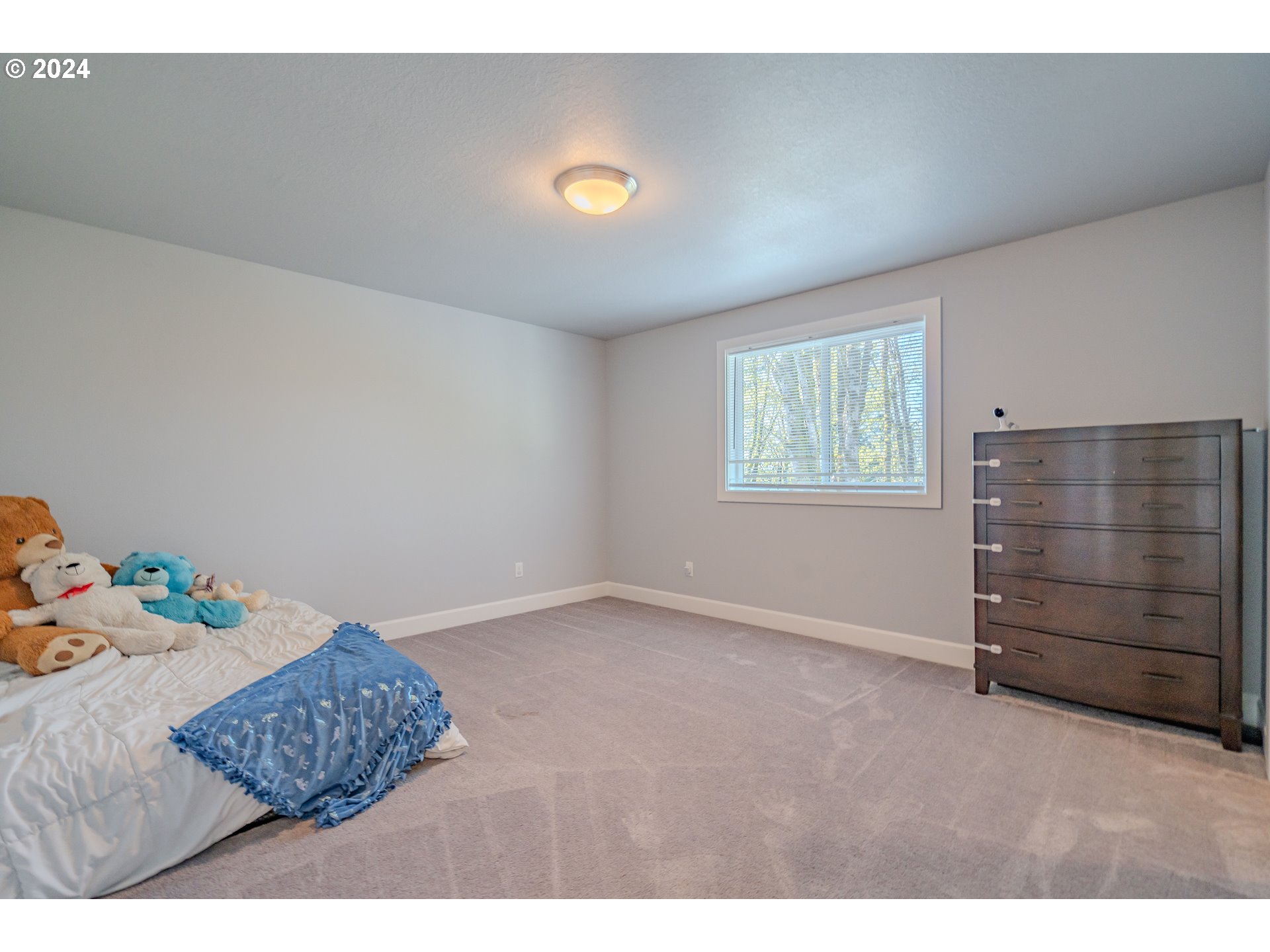 344 Raptor Ridge Drive Woodland, WA 98674 - Photo 19 of 47 Gallery Image 19