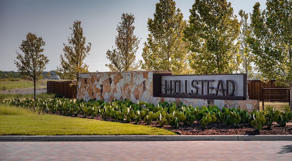 907 River Sky Road Lavon, TX 75166 - Photo 10 of 21 a view of a street with potted plants and large trees
