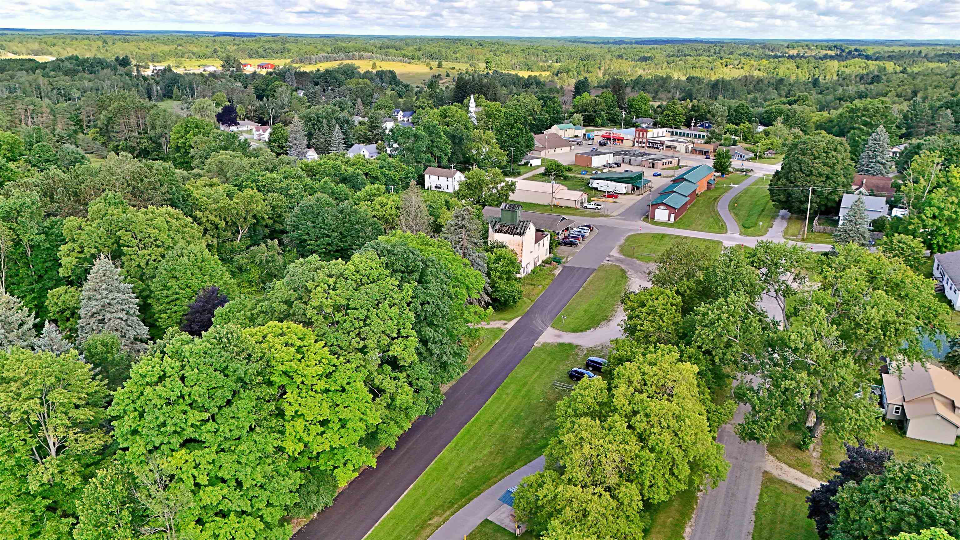 206 Howard Tustin, MI 49688 - Photo 10 of 31