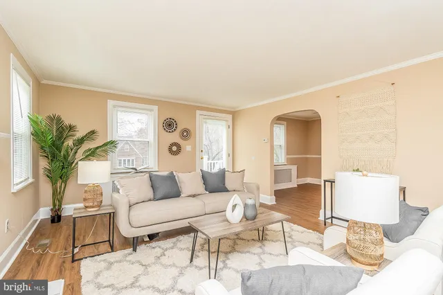 a living room with furniture and a potted plant