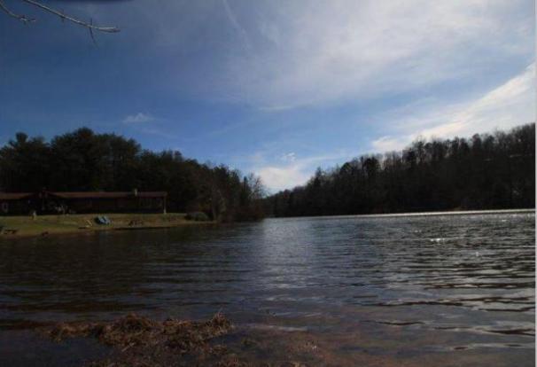 6 Yellow Nugget Road Tellico Plains, TN 37385 - Photo 11 of 34 Oddo pic 3
