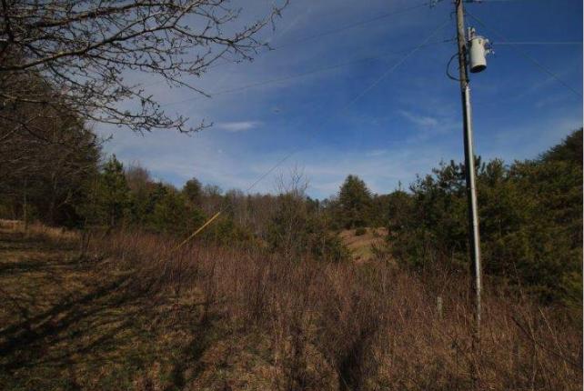 6 Yellow Nugget Road Tellico Plains, TN 37385 - Photo 13 of 34 Oddo pic 8