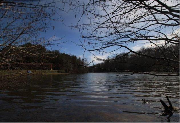6 Yellow Nugget Road Tellico Plains, TN 37385 - Photo 14 of 34 Oddo pic 1