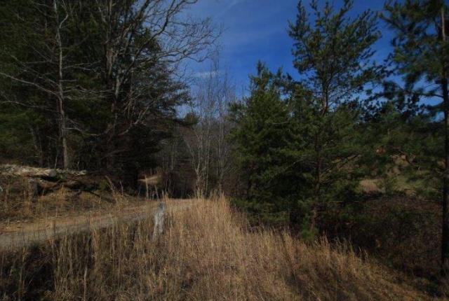 6 Yellow Nugget Road Tellico Plains, TN 37385 - Photo 17 of 34 Oddo pic 9