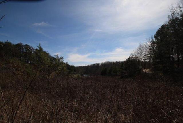 6 Yellow Nugget Road Tellico Plains, TN 37385 - Photo 20 of 34 Oddo pic 12
