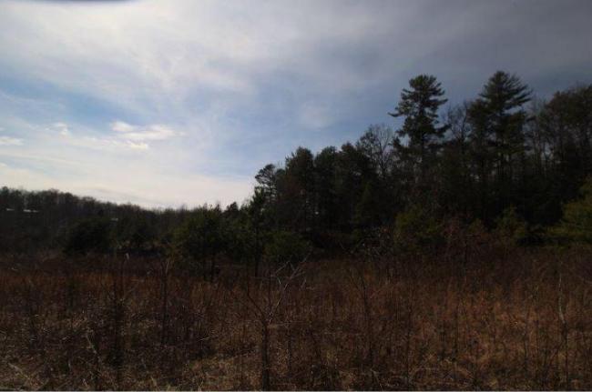 6 Yellow Nugget Road Tellico Plains, TN 37385 - Photo 21 of 34 Oddo pic 13